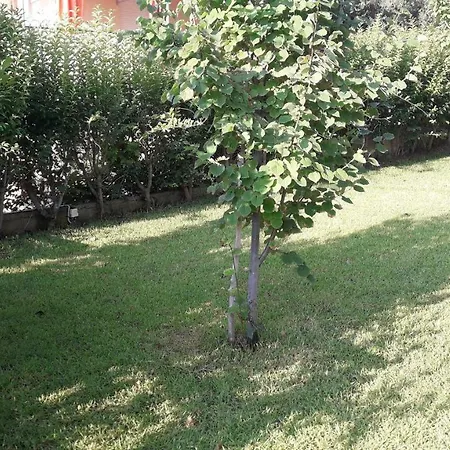 Alonaki Prázdninový dům *
